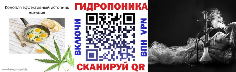 купить наркотики сайты  Махачкала  Canna-Cookies конопля 
