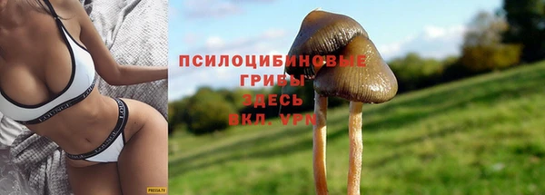 МДПВ Алзамай